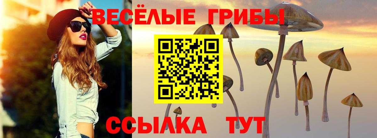 Галлюциногенные грибы Magic Shrooms Королёв